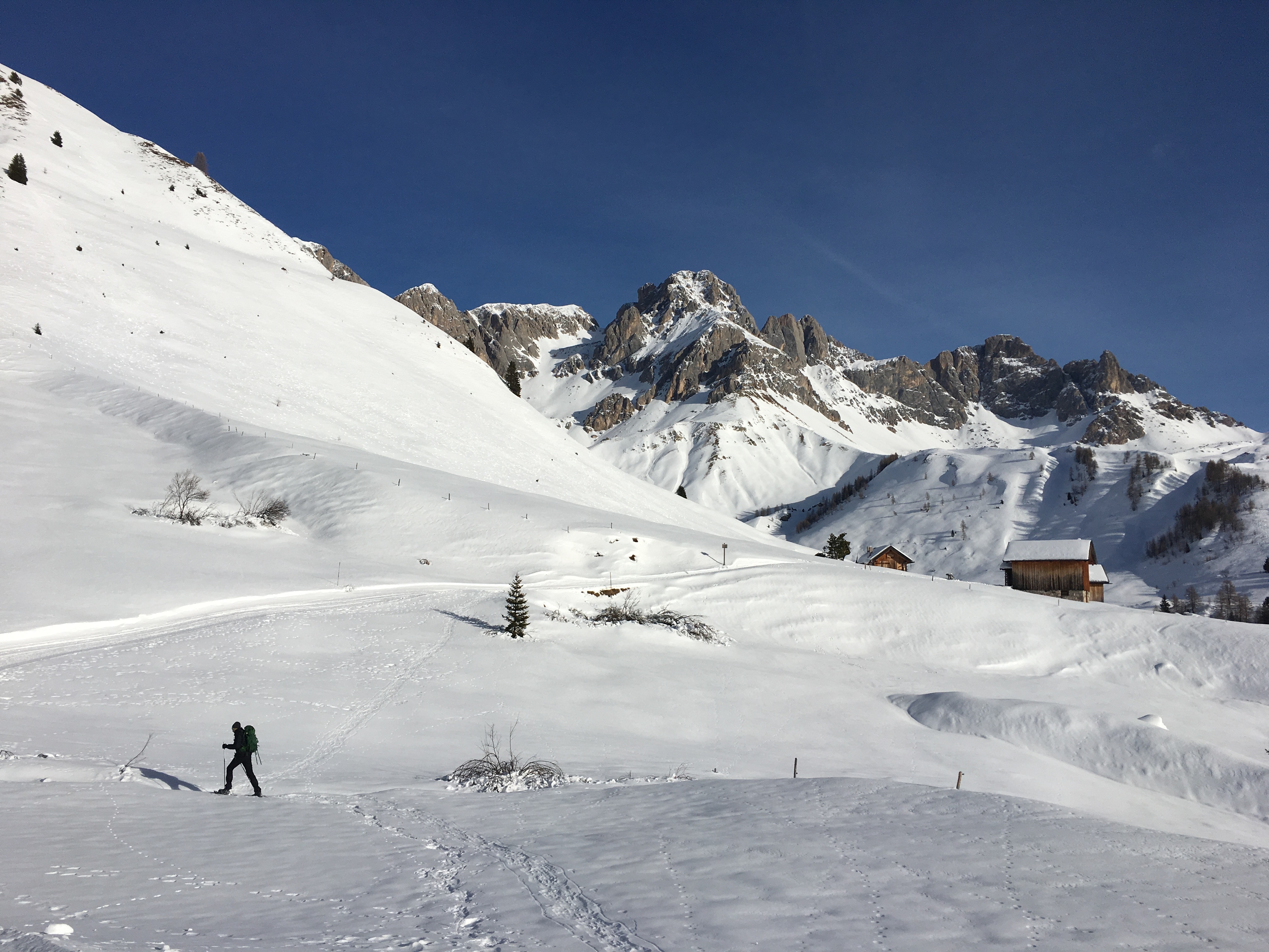 marta-giovanna-costa-517045-unsplash.jpg - 